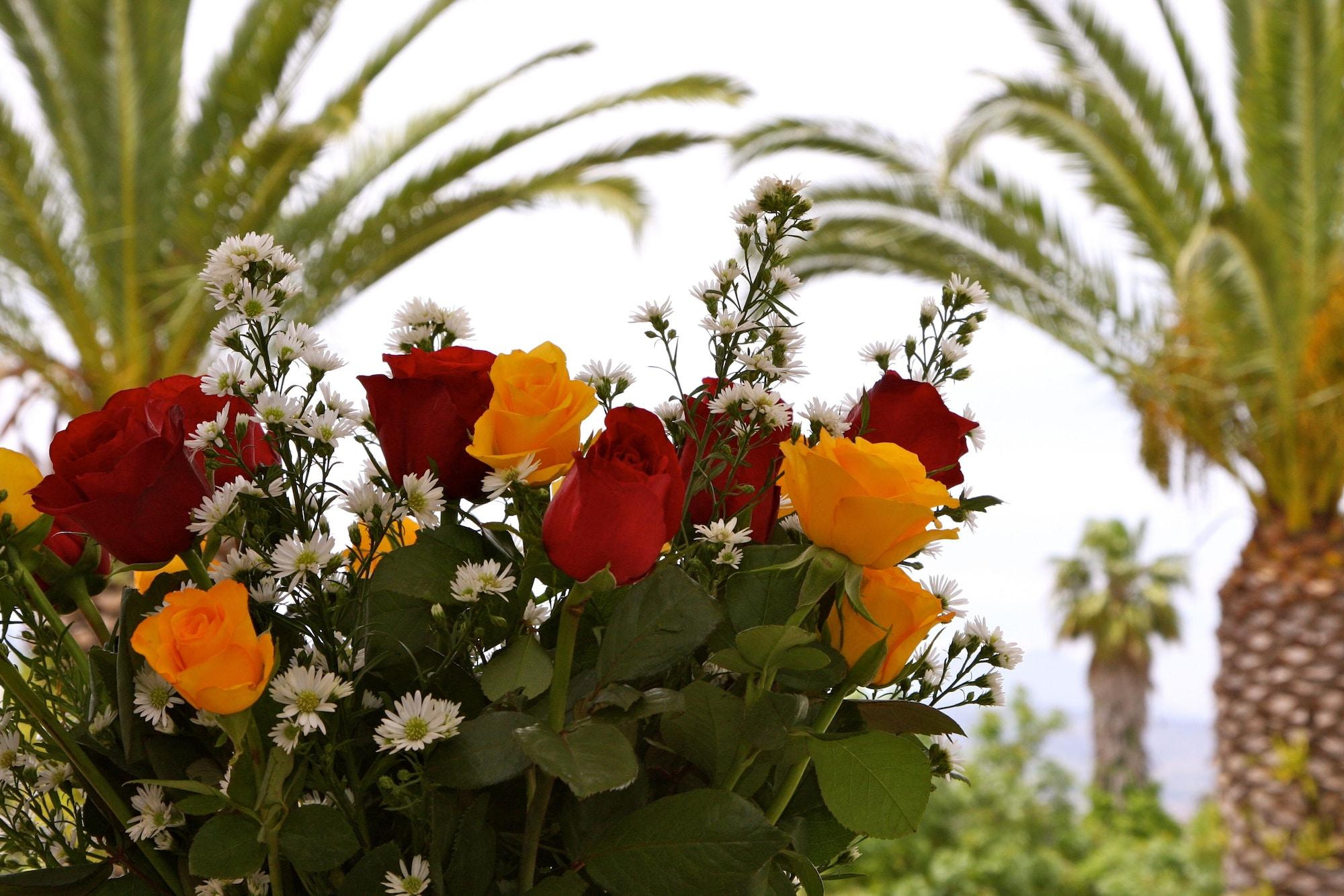 Four Palms Accommodation Durbanville Bagian luar foto